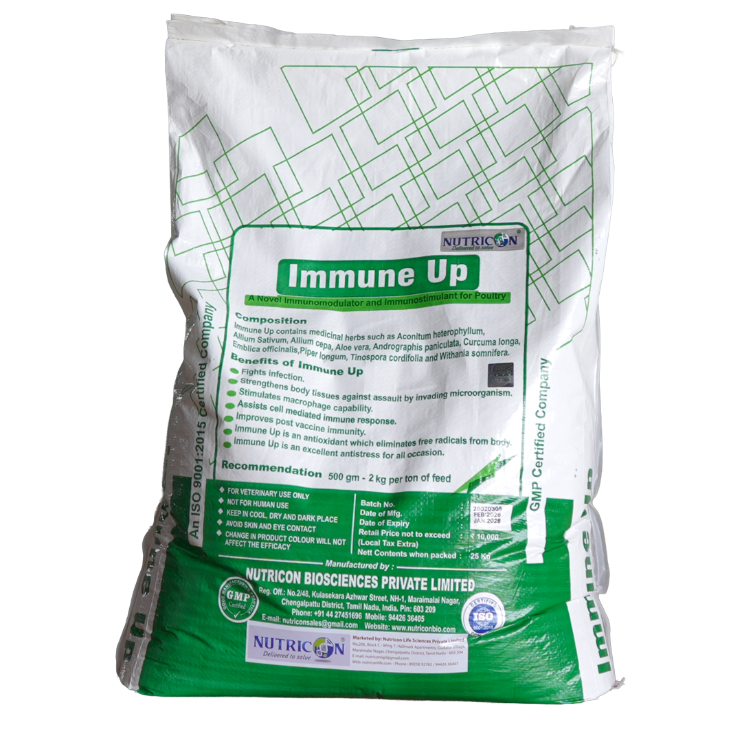IMMUNE UP